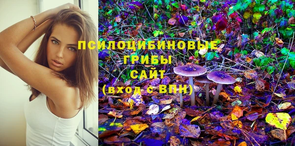 прущие грибы Алзамай