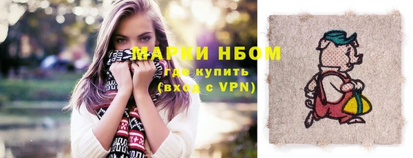 прущие грибы Алзамай