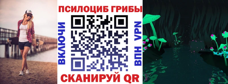 Галлюциногенные грибы Cubensis  как найти   Сосновка 